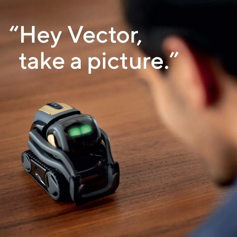 Vector by Zippi™ - Your AI-Powered Robot Friend